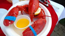 Maine Lobster, a must when dining in Maine